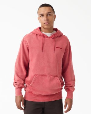 Plentywood Hoodie